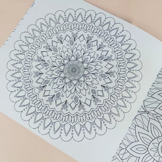 كتاب تلوين مانديلا والأطفال الصغار 24 رسمة ازهار وورود