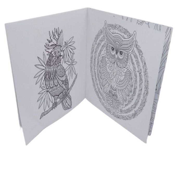 كتاب تلوين مانديلا للكبار والصغار، 24 رسمة للطيور